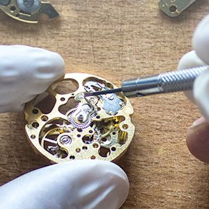 luxury watch damage and repair